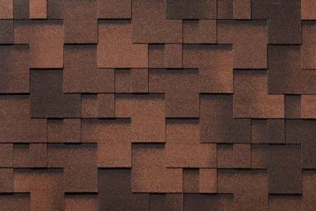 робуста робуста