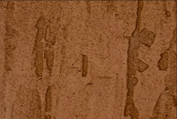 НоменклатураПрисоединенныеФайлы НоменклатураПрисоединенныеФайлы