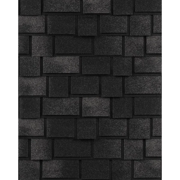 черный жемчуг