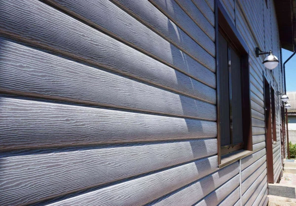 дуб серебристый дуб серебристый