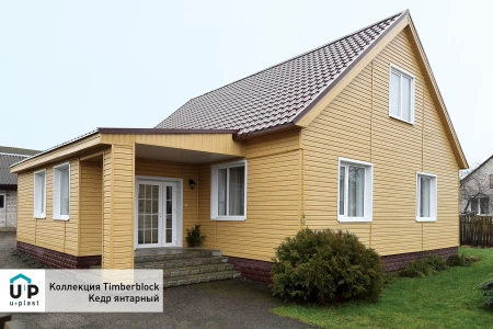 кедр янтарный кедр янтарный