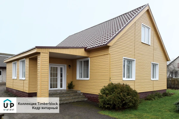 кедр янтарный кедр янтарный