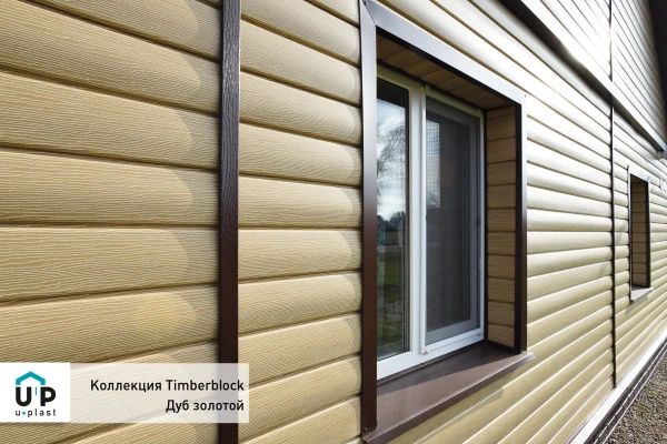 дуб золотой дуб золотой