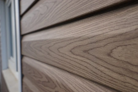 пихта сахалинская пихта сахалинская