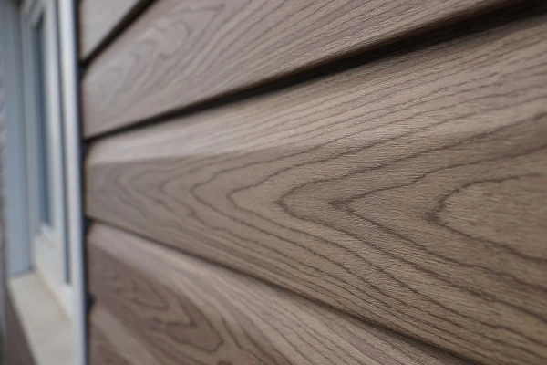 пихта сахалинская пихта сахалинская