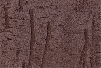 Фиброцементный сайдинг БЕТЭКО Вудрок (Короед) Шоколадно-коричневый RAL8017 Фиброцементный сайдинг БЕТЭКО Вудрок (Короед) Шоколадно-коричневый RAL8017