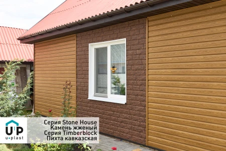 пихта кавказская пихта кавказская