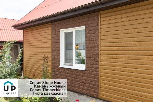 пихта кавказская пихта кавказская