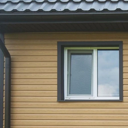 пихта алтайская пихта алтайская