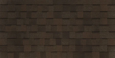 BUSINESS_PIEMONTE_castagna_matura_122 BUSINESS_PIEMONTE_castagna_matura_122