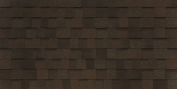 BUSINESS_PIEMONTE_castagna_matura_122 BUSINESS_PIEMONTE_castagna_matura_122