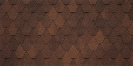 SARDEGNA_liberica_020 SARDEGNA_liberica_020