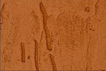 Фиброцементный сайдинг БЕТЭКО Вудрок (Короед) Оранжево-коричневый RAL8023 Фиброцементный сайдинг БЕТЭКО Вудрок (Короед) Оранжево-коричневый RAL8023