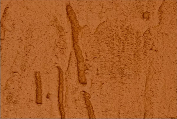 НоменклатураПрисоединенныеФайлы НоменклатураПрисоединенныеФайлы