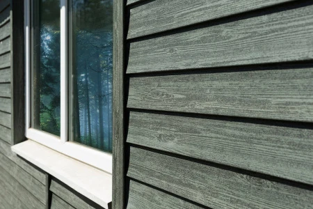 ель ирландская ель ирландская