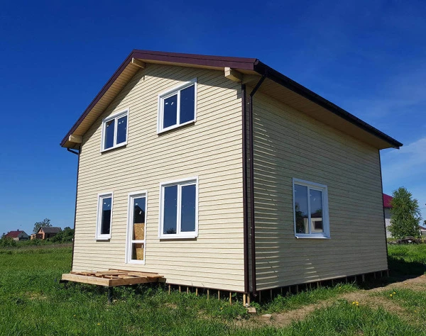 ель балтийская ель балтийская