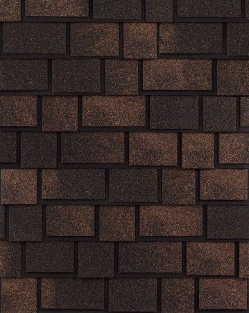 magnum-bronze magnum-bronze